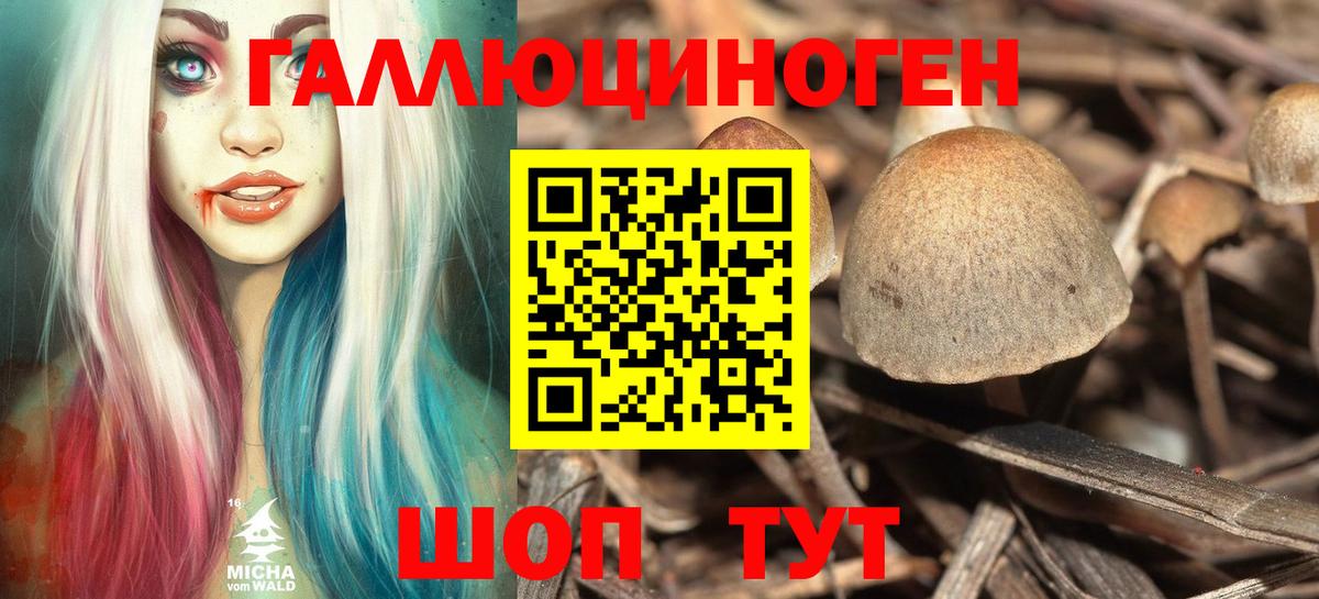 Псилоцибиновые грибы Magic Shrooms Тверь